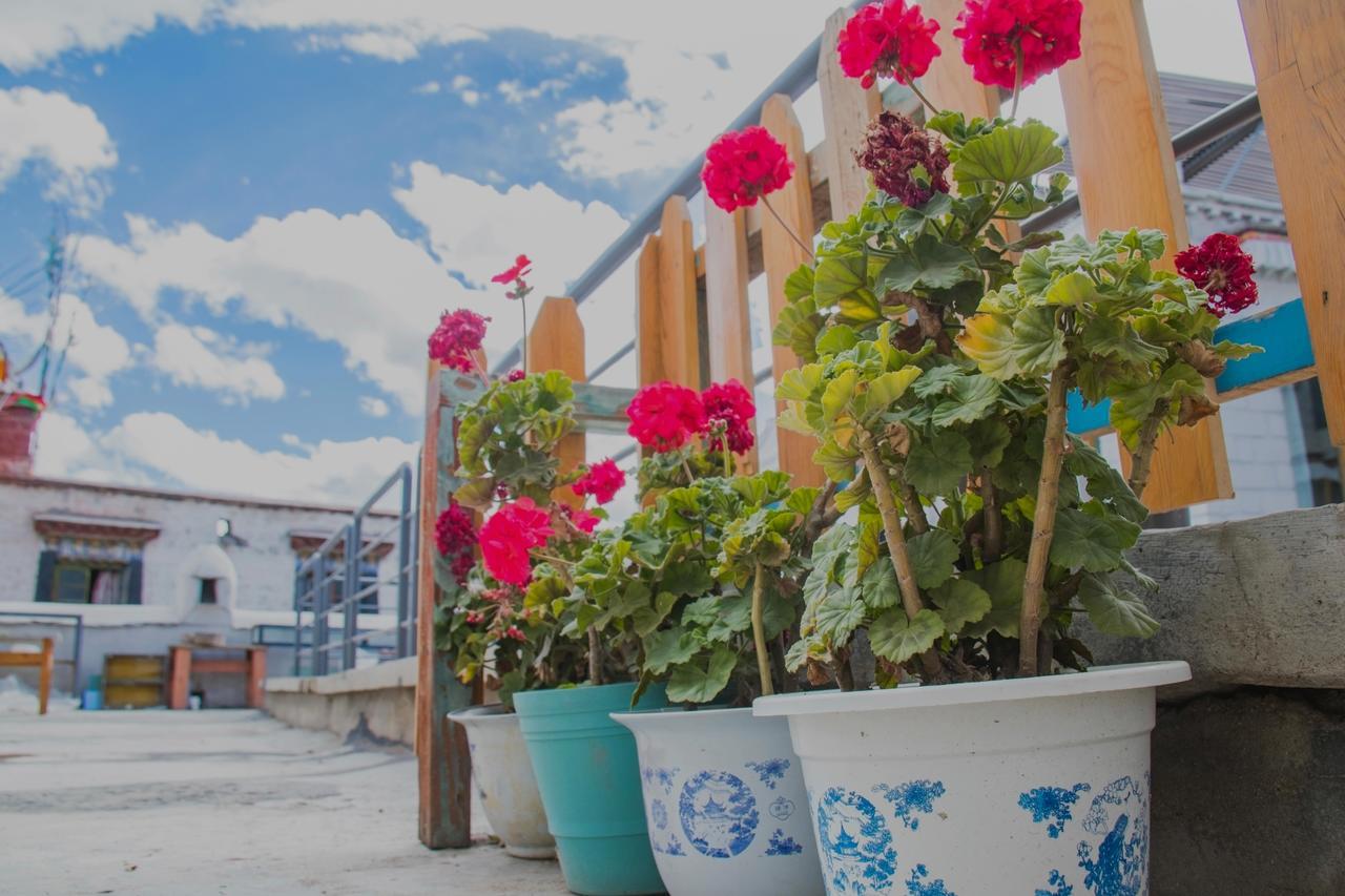 Fengma Feiyang Hostel Лхаса Екстер'єр фото